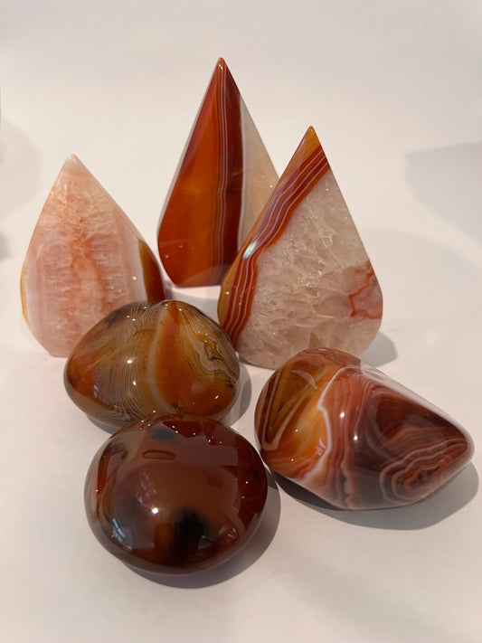 Carnelian Agate Bundle