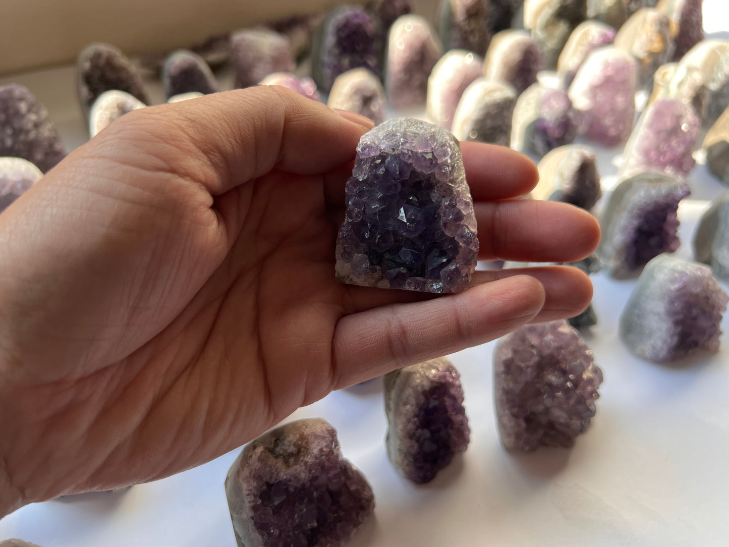 Adopt Mini Amethyst Cathedrals
